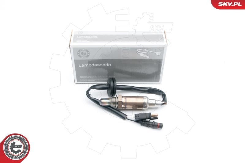 Oxygen Sensor